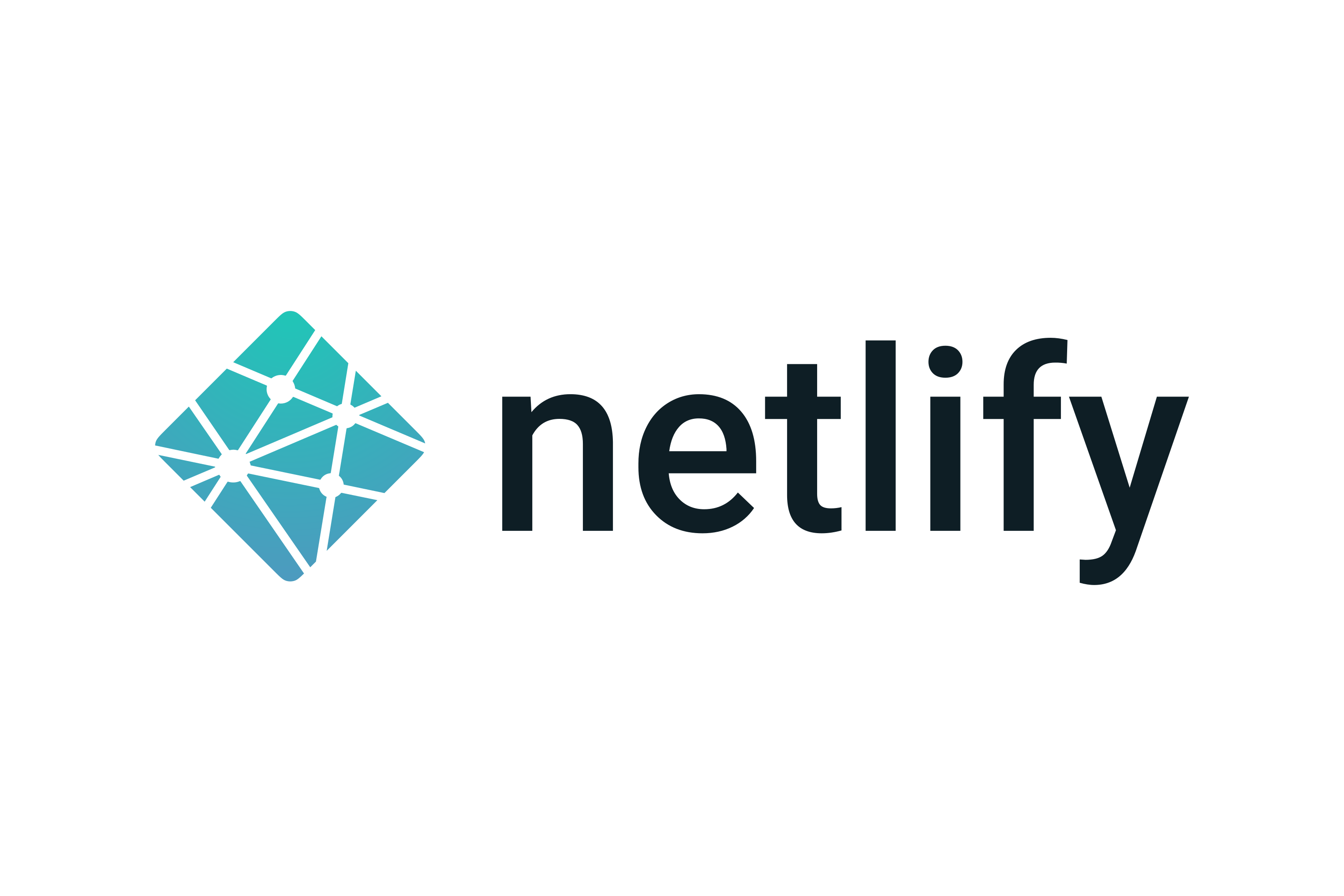 Netlify Logo